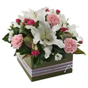 Angelina Large Surprise Box