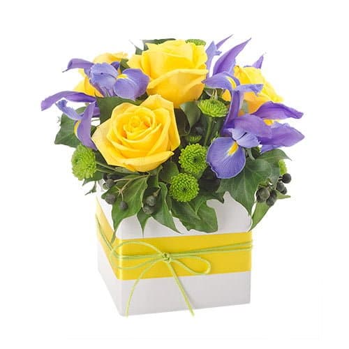 Millie Small Surpise box