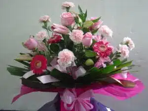 Pink Beauty