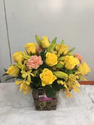 Yellow Sunshine